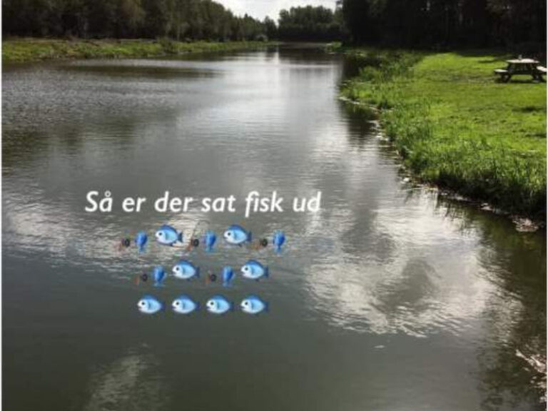 Hebo Fiskesø