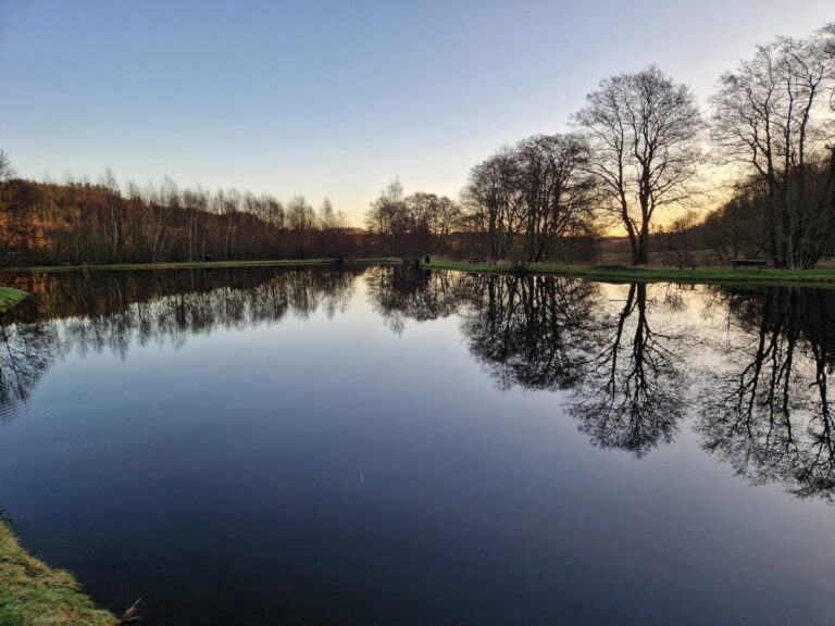 Lystrup Bæk Fiskesø