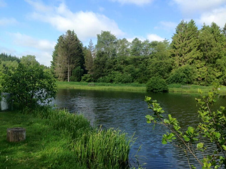 Lystrup Bæk Fiskesø